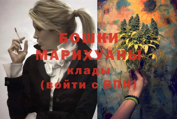 шишки Тайга