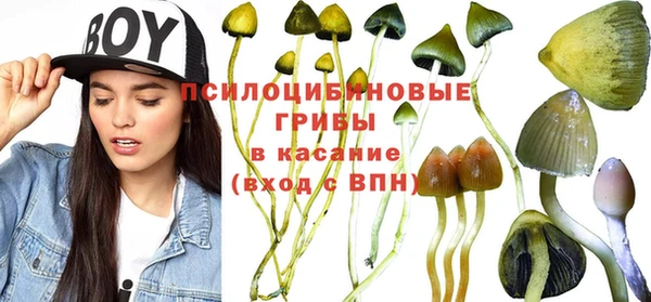 прущие крисы Балабаново