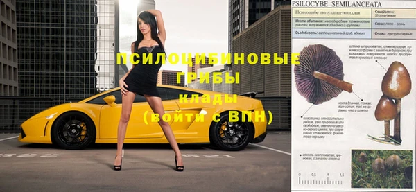 спиды Арсеньев