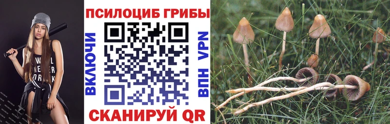 купить   Белоярский  Галлюциногенные грибы GOLDEN TEACHER 